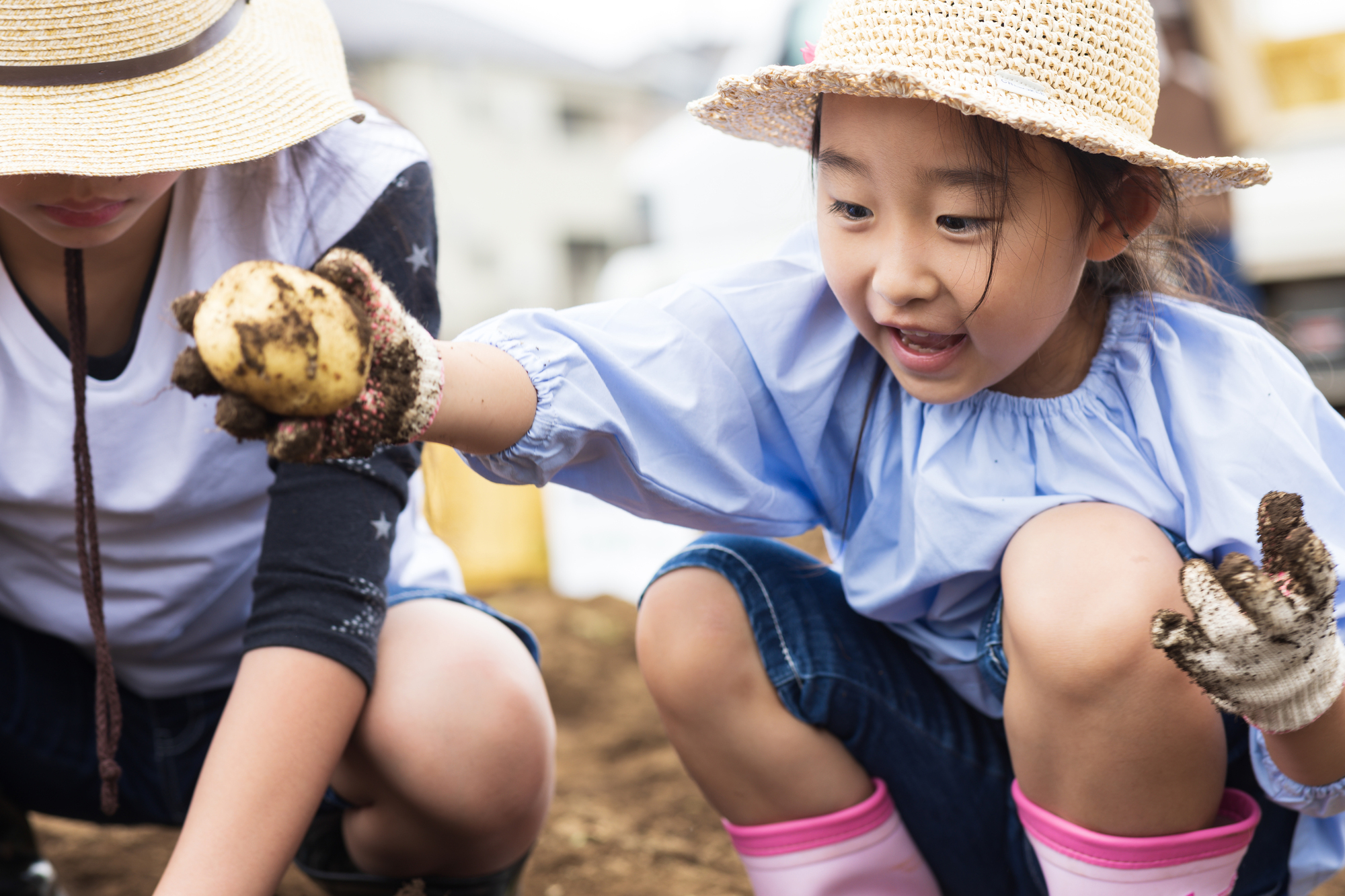 6月　収穫祭