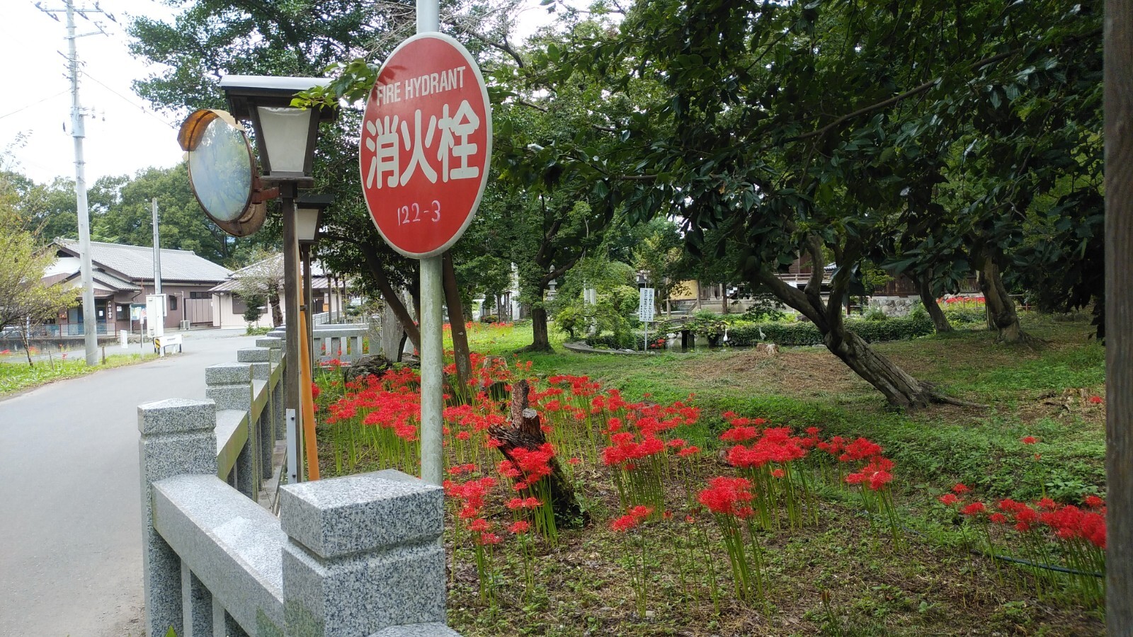 お散歩コース